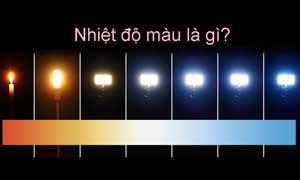 Tổng hợp các loại đèn downlight phổ biến nhất hiện nay